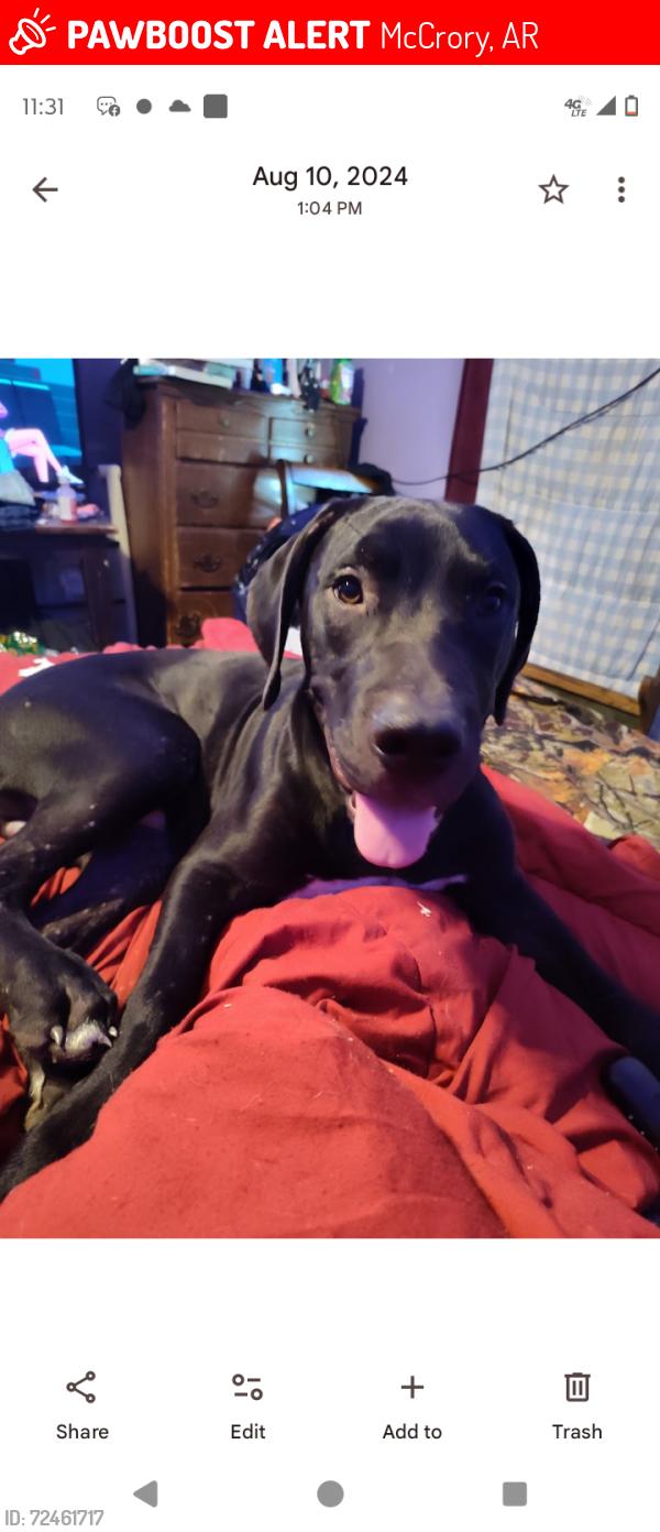Lost Male Dog last seen Near Woodruff 662 mccrory Arkansas , McCrory, AR 72101