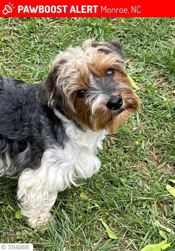 Lost Male Dog last seen 