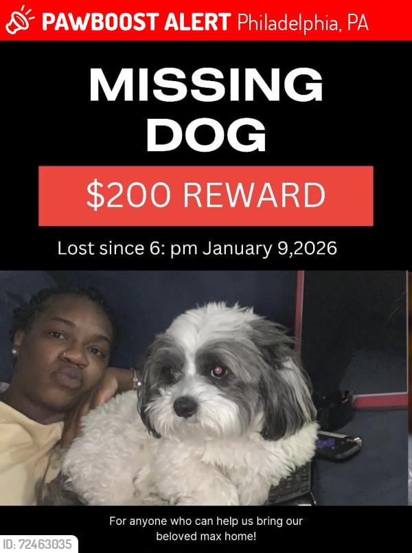 Lost Male Dog last seen Wister street, Philadelphia, PA 19144