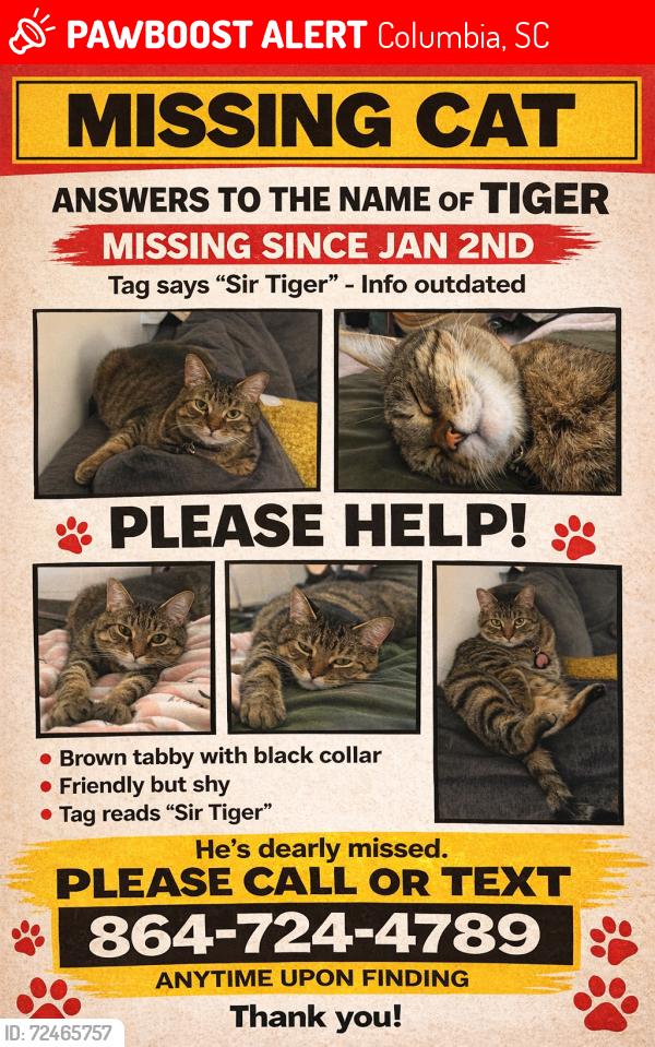 Lost Male Cat last seen Lyles st. Columbia sc, Columbia, SC 29201