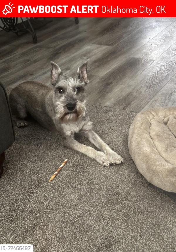 Lost Male Dog last seen Crossing west at jPenn Ave at NW. 45th St., Oklahoma City, OK 73118