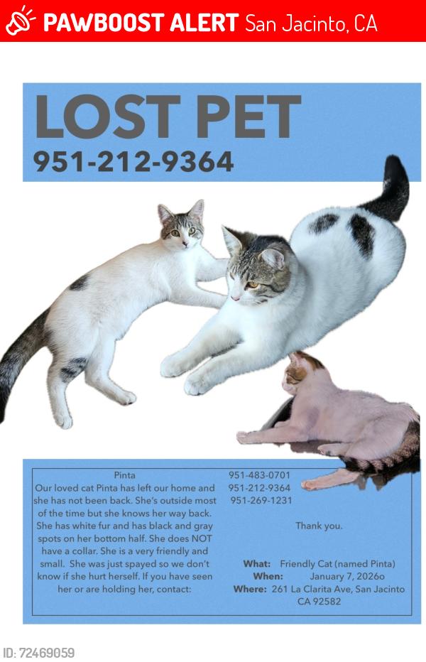 Lost Female Cat last seen Cottonwood  and kirby, San Jacinto, CA 92582
