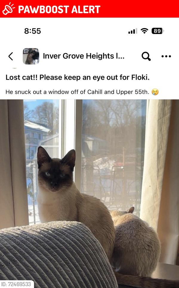 Lost Male Cat last seen Cahill and Upper 55th St E close to the Rock Island Family Dentistry, Inver Grove Heights, MN 55076