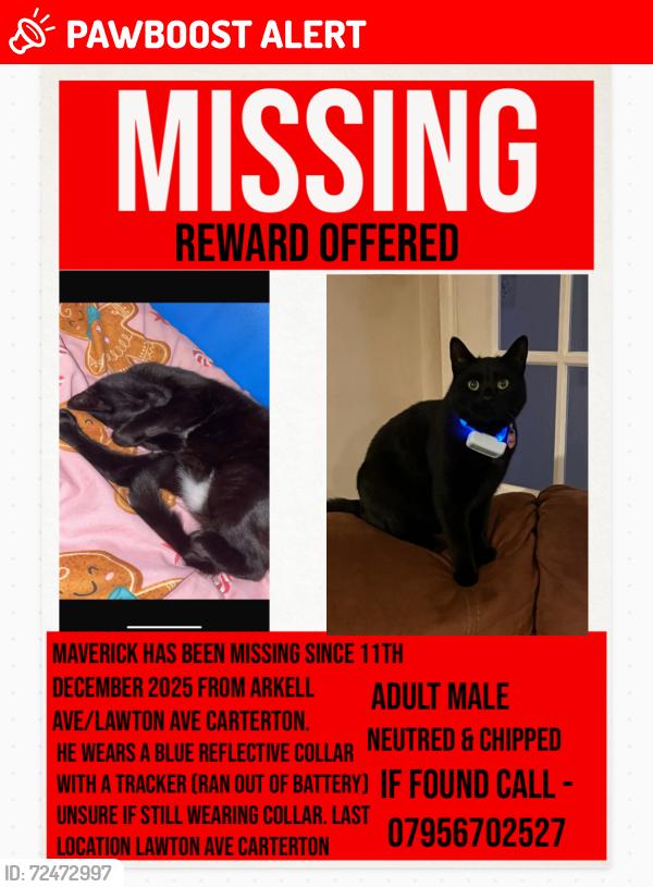 Lost Male Cat last seen Church on arkell avenue/lawton Avenue, Oxfordshire, England OX18