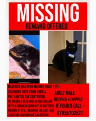 Lost Male Cat last seen Church on arkell avenue/lawton Avenue , Oxfordshire, England OX18