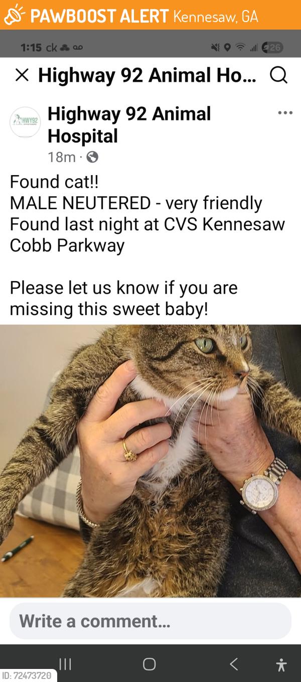 Found/Stray Male Cat last seen jiles road and cobb parkway nw, Kennesaw, GA 30152