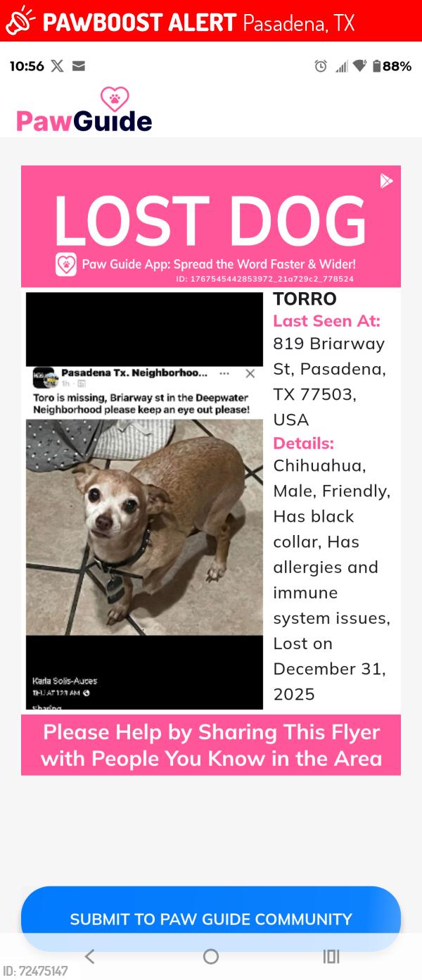 Lost Male Dog last seen Briarway street Pasadena tx , Pasadena, TX 77503