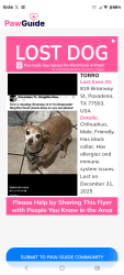 Lost Male Dog last seen Briarway street Pasadena tx , Pasadena, TX 77503