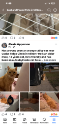 Lost Male Cat last seen Subdivision by King middle School , Milton, FL 32570