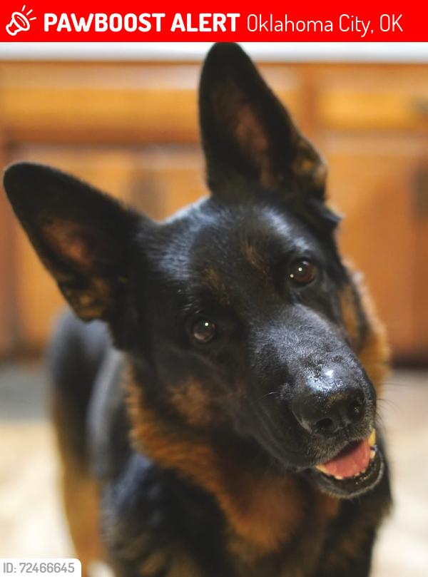 Lost Female Dog last seen SE 149th and S Air Depot Blvd , Oklahoma City, OK 73165
