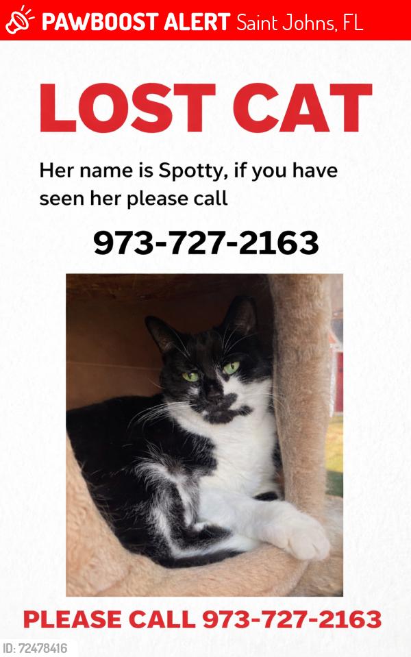 Lost Female Cat last seen St. John’s Forrest blvd, Saint Johns, FL 32259