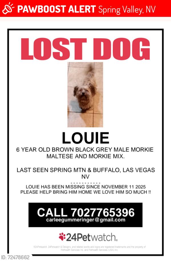 Lost Male Dog last seen Spring mtn and buffalo, Spring Valley, NV 89147
