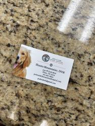 Found/Stray Unknown Cat last seen Stratford and Park, Plano, TX 75075