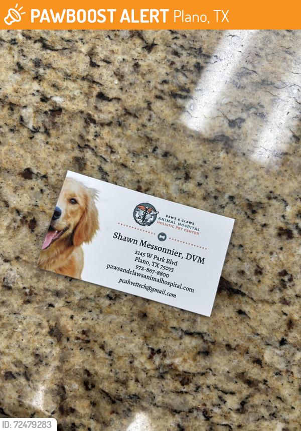 Found/Stray Unknown Cat last seen Stratford and Park, Plano, TX 75075