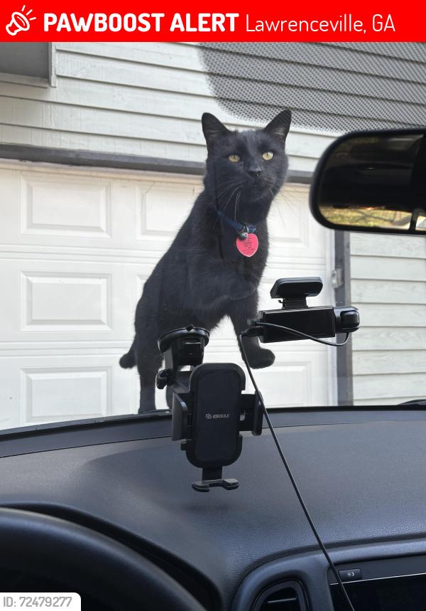 Lost Male Cat last seen Lawrenceville , Lawrenceville, GA 30044