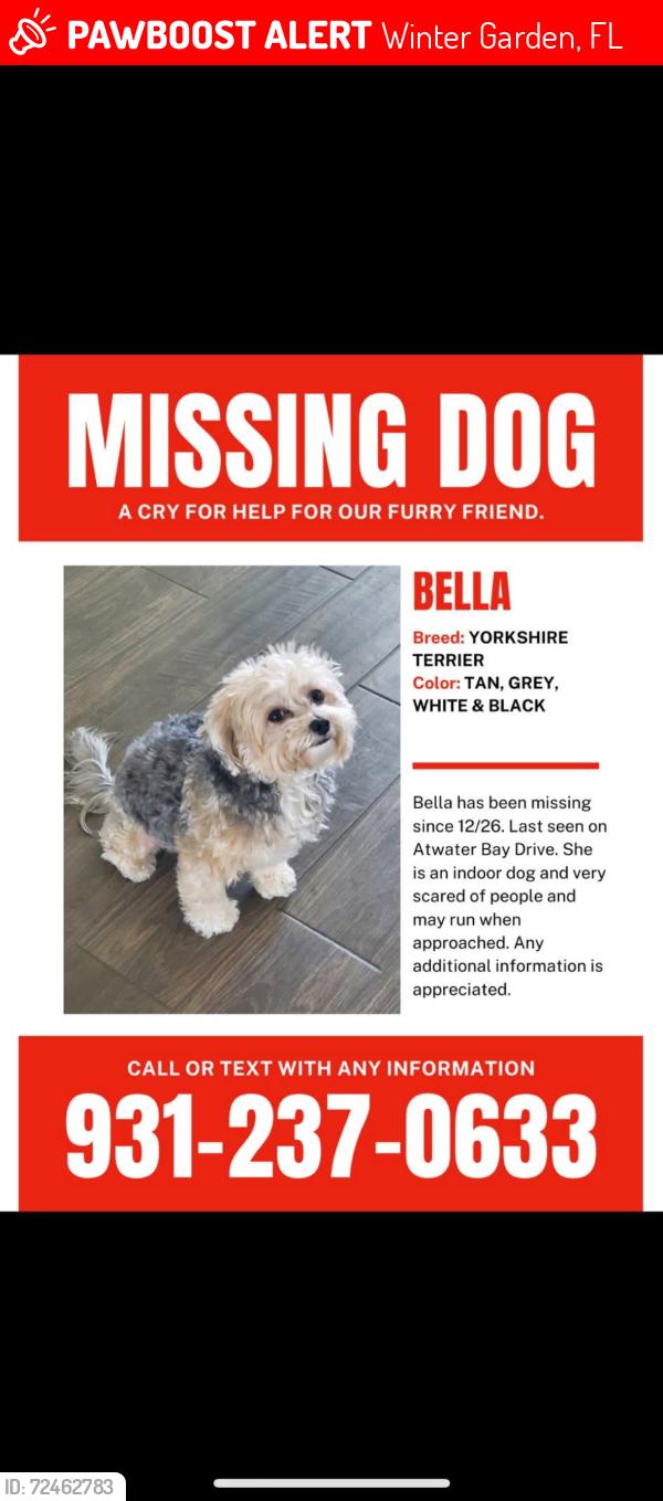 Lost Female Dog last seen Atwater Bay drive and little alcove loop, Winter Garden, FL 34787