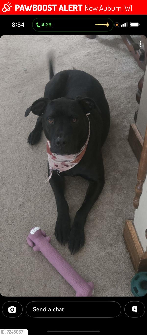 Lost Female Dog last seen Myran Park, New Auburn, WI 54757