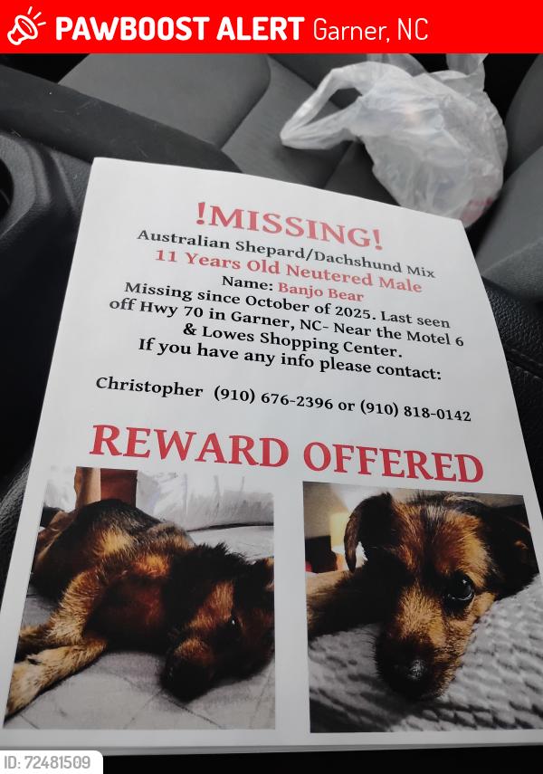 Lost Male Dog last seen BP Station, Garner, NC 27529