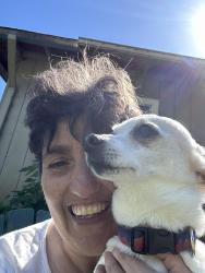 Lost Male Dog last seen Near point Reyes route1 , Point Reyes Station, CA 94956