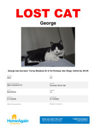Lost Male Cat last seen Via Fortezza, San Diego, CA 92129