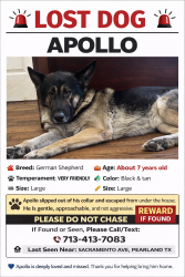Lost Male Dog last seen Broadway and Pearland PKWY, Pearland, TX 77581