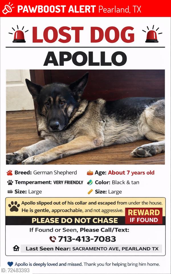Lost Male Dog last seen Broadway and Pearland PKWY, Pearland, TX 77581