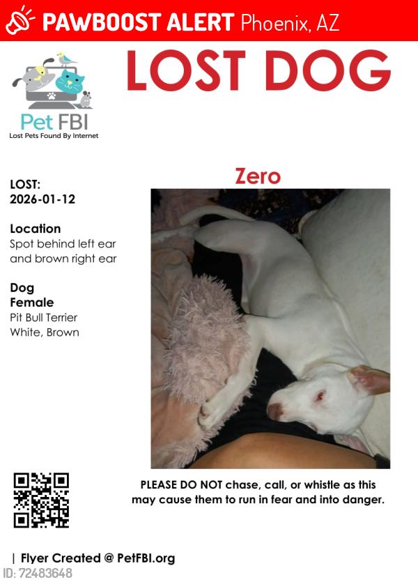 Lost Female Dog last seen Near ave and thunderbird , Phoenix, AZ 85053