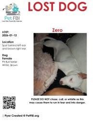 Lost Female Dog last seen Near ave and thunderbird , Phoenix, AZ 85053