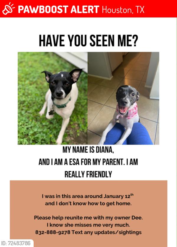 Lost Female Dog last seen Oates Rd, Houston, TX 77013