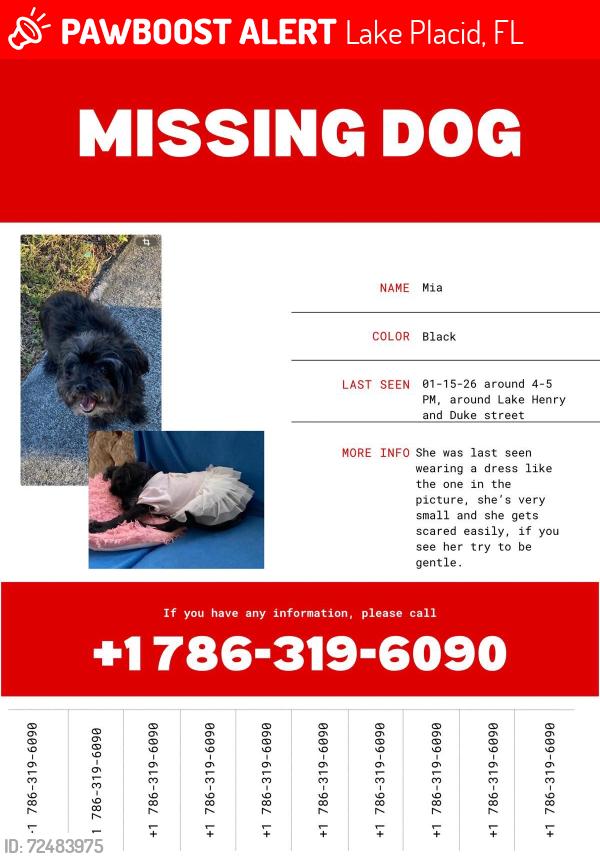 Lost Female Dog last seen Near Miami dr , lake Plácid , Lake Placid, FL 33852