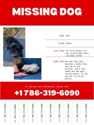 Lost Female Dog last seen Near Miami dr , lake Plácid , Lake Placid, FL 33852