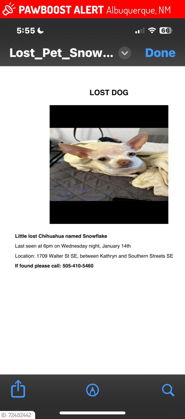 Lost Female Dog last seen Aveneda Cesar chavez and Broadway , Albuquerque, NM 87102