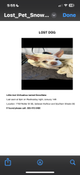 Lost Female Dog last seen Aveneda Cesar chavez and Broadway , Albuquerque, NM 87102
