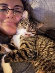 Lost Female Cat last seen Pecan Creek off MLKJr Dr, Shinoda Dr and Easton Dr, Temple, TX 76504
