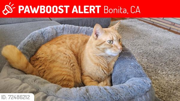 Lost Male Cat last seen Willow Street Valley Road Sweetwater Road, Bonita, CA 91902
