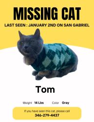 Lost Male Cat last seen San Gabriel  and Missouri , South Gate, CA 90280