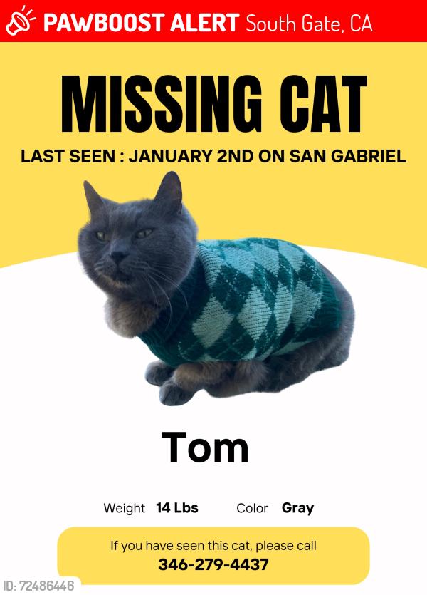 Lost Male Cat last seen San Gabriel  and Missouri , South Gate, CA 90280