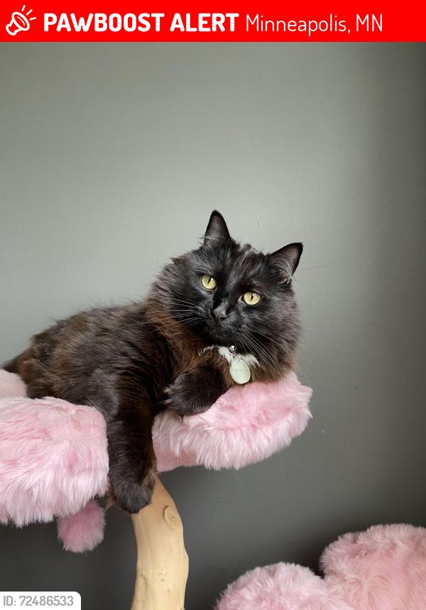 Lost Male Cat last seen Scott Ave N in Robbinsdale , Minneapolis, MN 55422