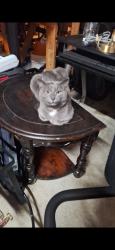 Lost Male Cat last seen Westside St, Cleveland, TN 37312