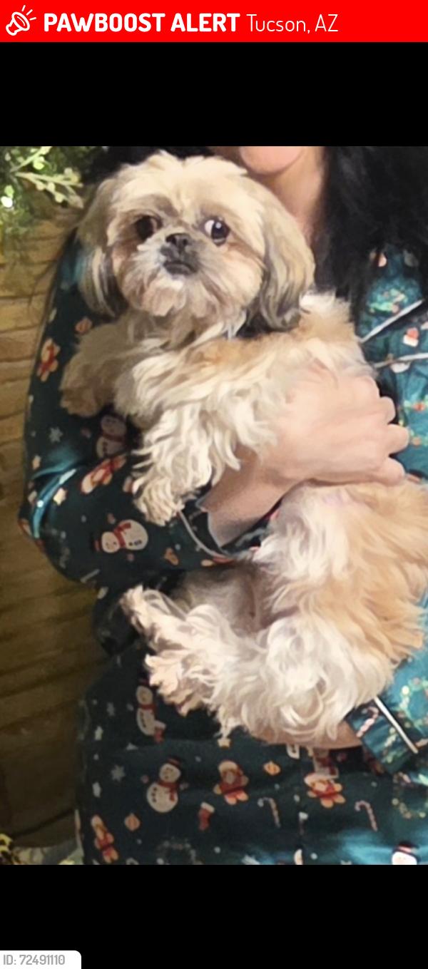 Lost Female Dog last seen Stella and Hearthstone , Tucson, AZ 85730