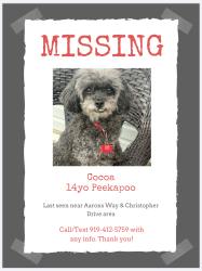 Lost Male Dog last seen Aarons Way & Christopher Dr area, Burlington, NC 27217