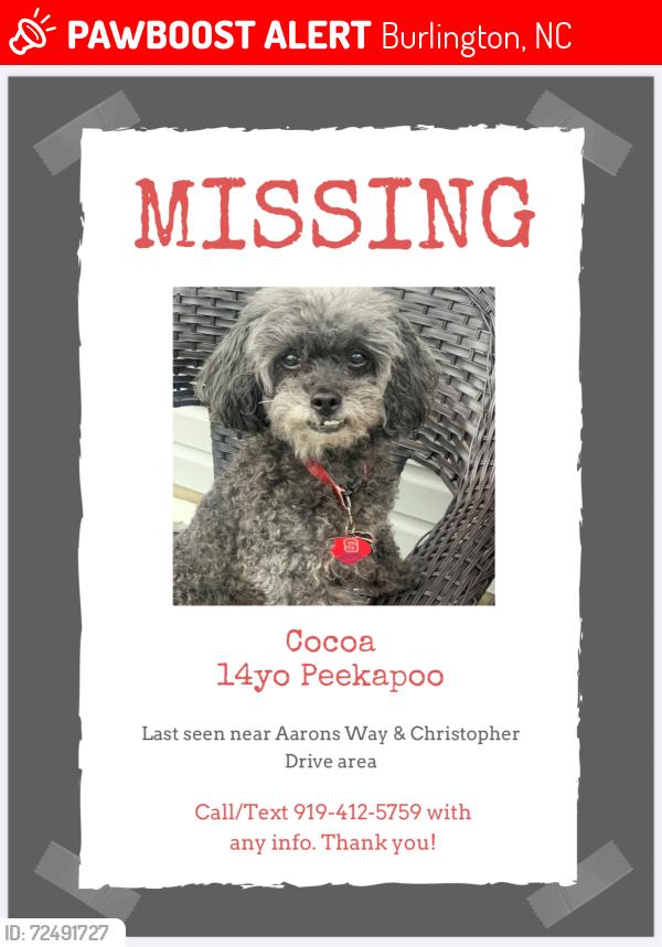 Lost Male Dog last seen Aarons Way & Christopher Dr area, Burlington, NC 27217