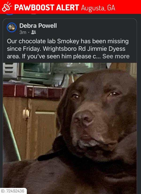 Lost Male Dog last seen Wrightsboro Rd /Jimmie Dyess Pkwy , Augusta, GA 30909