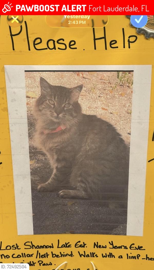 Lost Female Cat last seen N. Flamingo Rd/8th St/136th Ave, Fort Lauderdale, FL 33325