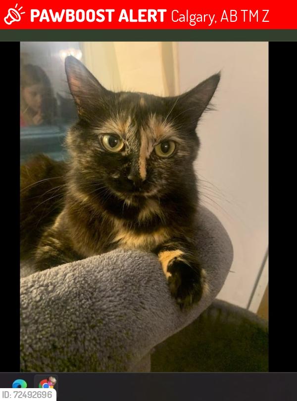 Lost Female Cat last seen She ran from my Mother's hse and out of her yard into the alley., Calgary, AB T2M 1Z6