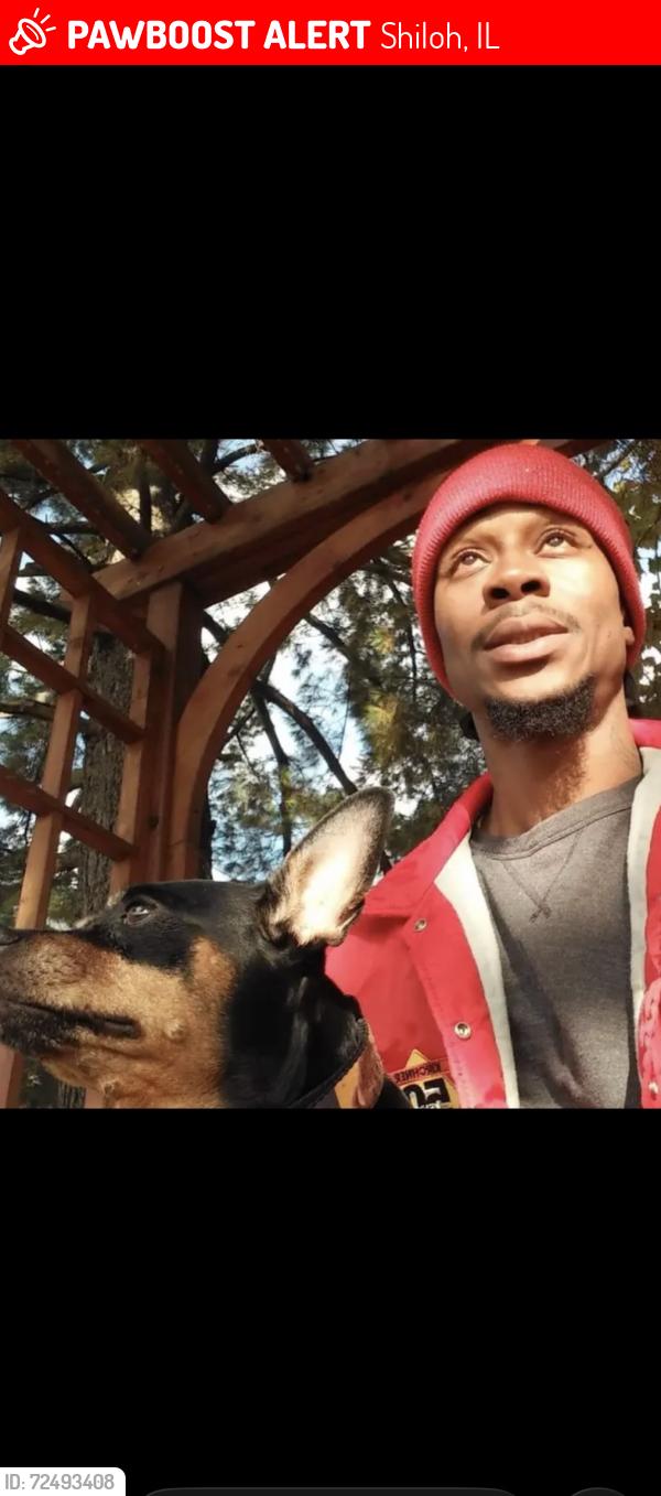 Lost Male Dog last seen US Highway 50 and Hartman Ln, Shiloh, IL 62269