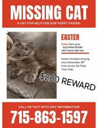 Lost Female Cat last seen Pella Town Hall in Pella, WI , Marion, WI 54950