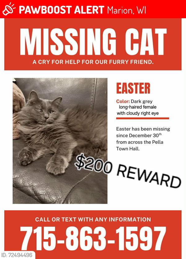 Lost Female Cat last seen Pella Town Hall in Pella, WI , Marion, WI 54950