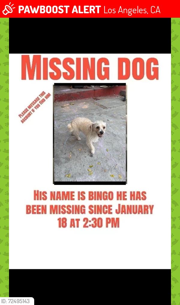 Lost Male Dog last seen Eastlake Ave, Los Angeles, CA 90031