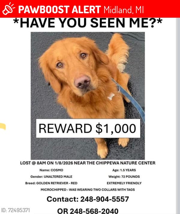 Lost Male Dog last seen Chippewa Nature Center, Midland, MI 48640